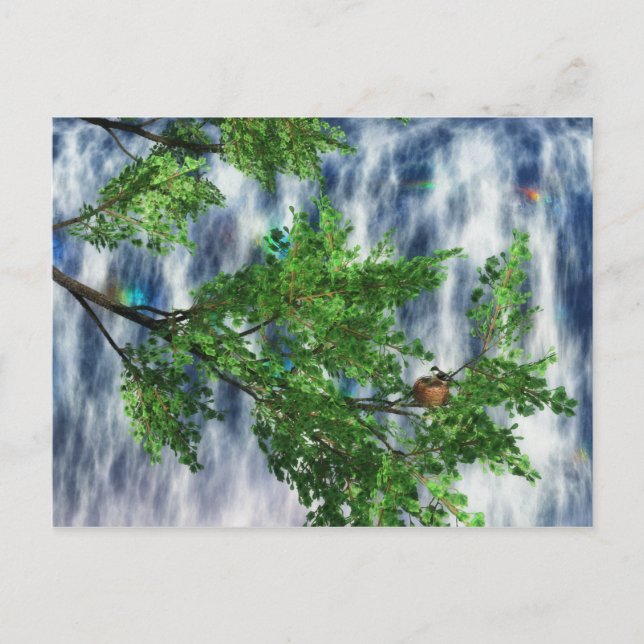 Cartão Postal da Birdsnest Falls (Frente)