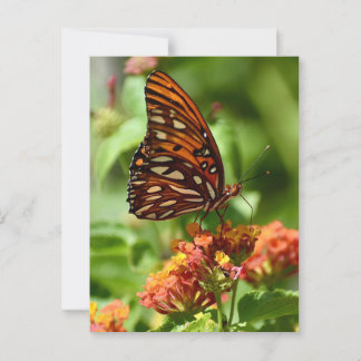 Cartão Postal da Borboleta Gulf Fritillary