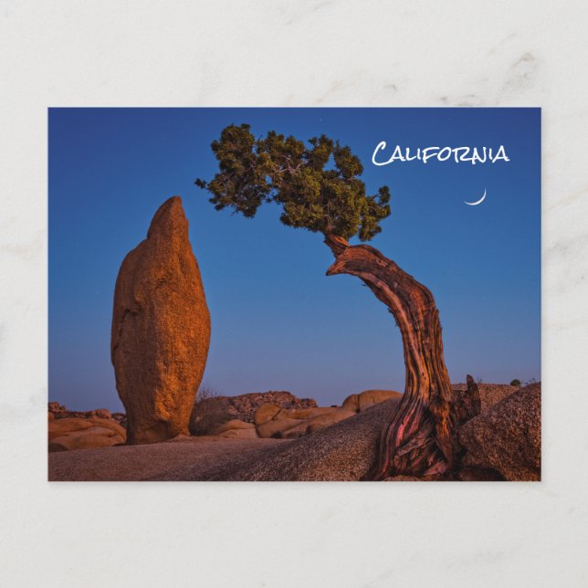 Cartão postal da Califórnia em Joshua Tree (Frente)