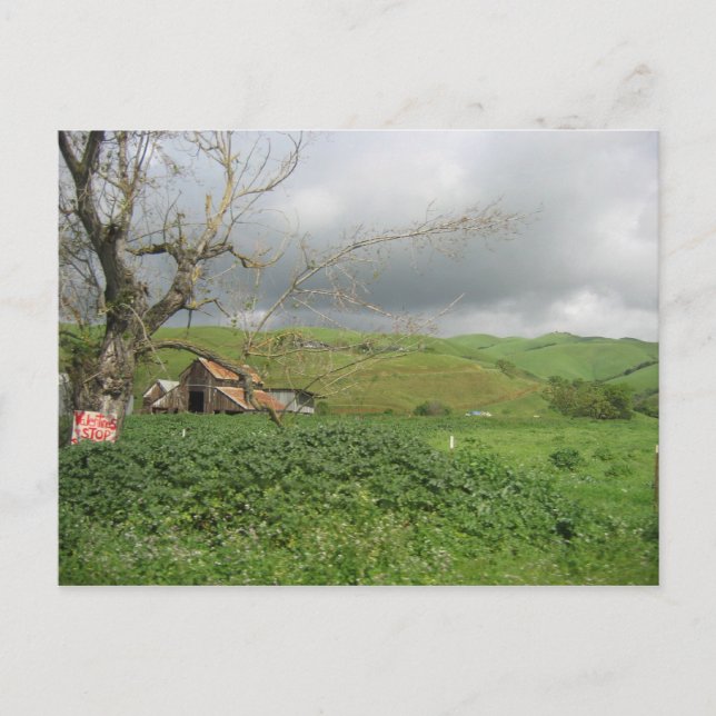 Cartão postal da Califórnia - Gilroy, Califórnia (Frente)