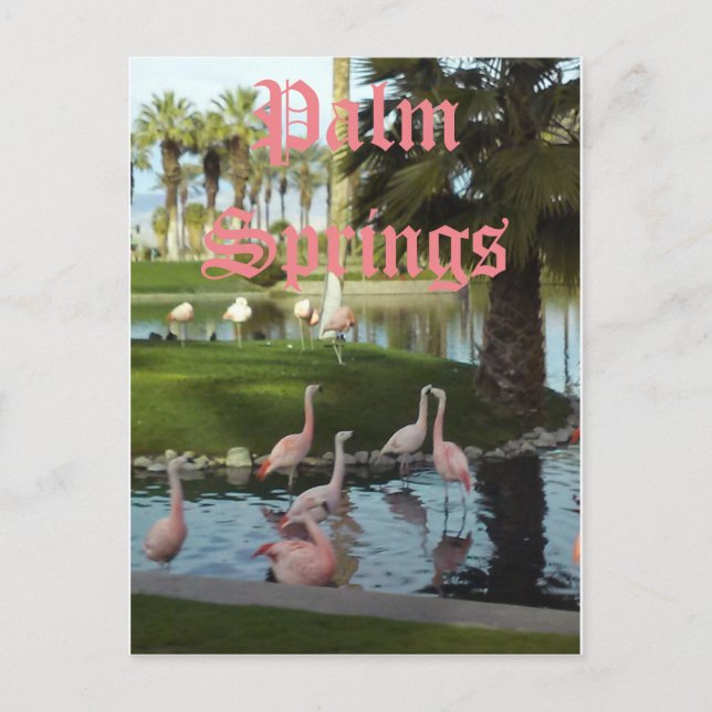 Cartão postal da Califórnia para Primaveras Palm (Frente)