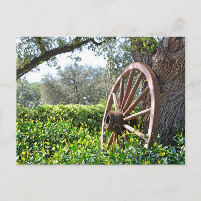 Cartão postal da cena do campo (Frente)