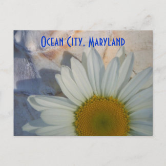 Cartão postal da cidade de Daisy Ocean