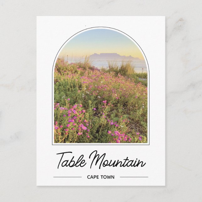 Cartão postal da Cidade do Cabo, em Montanha mesa, (Frente)