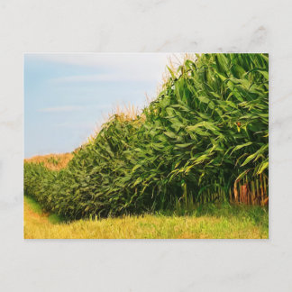 Cartão Postal da Colheita de Milho da Vida Rural E