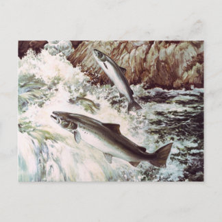 cartão postal da corrida do salmão