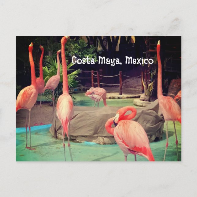 Cartão Postal da Costa Maya México (Frente)