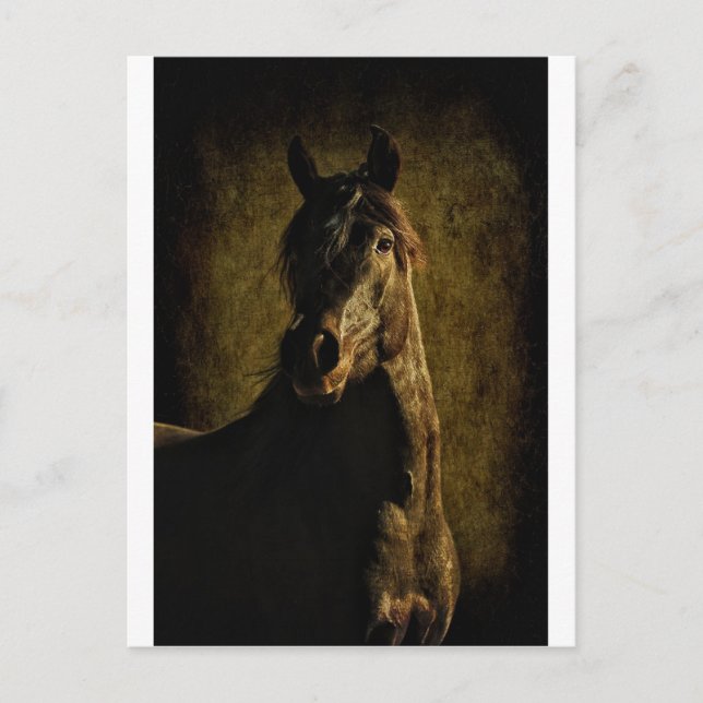 Cartão Postal Da Escuridão (Frente)