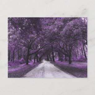 cartão postal da estrada santee