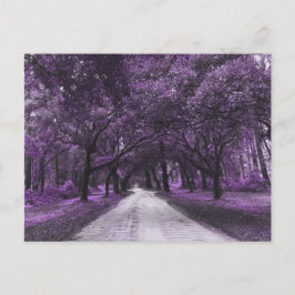 cartão postal da estrada santee