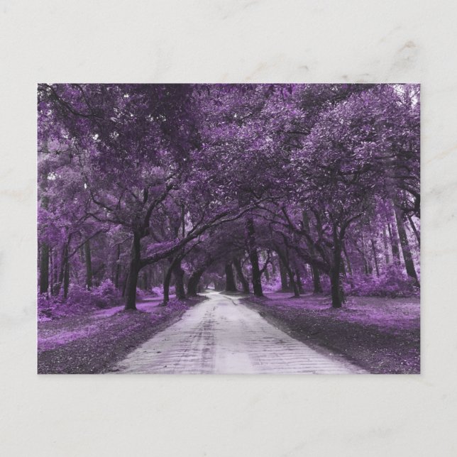 cartão postal da estrada santee (Frente)