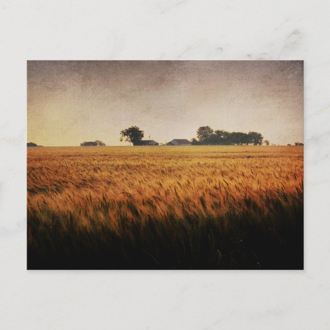 Cartão postal da Fazenda Texas (Frente)