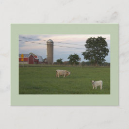 Cartão postal da Fazenda Vaca com Bezerro