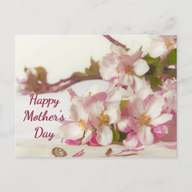 Cartão Postal da Flor de Maçã (Frente)