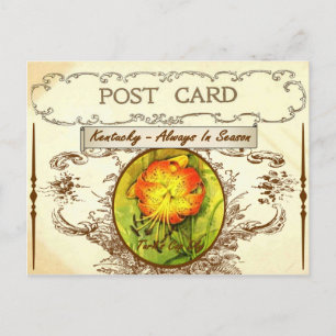 Cartão postal da Flor do Estado do Kentucky Vinta