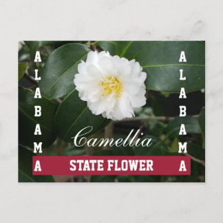 Cartão postal da Flor Estadual do Alabama Camellia