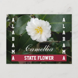 Cartão postal da Flor Estadual do Alabama Camellia