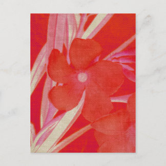 Cartão postal da flor vermelha