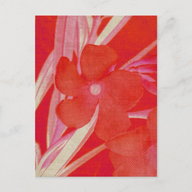 Cartão postal da flor vermelha (Frente)