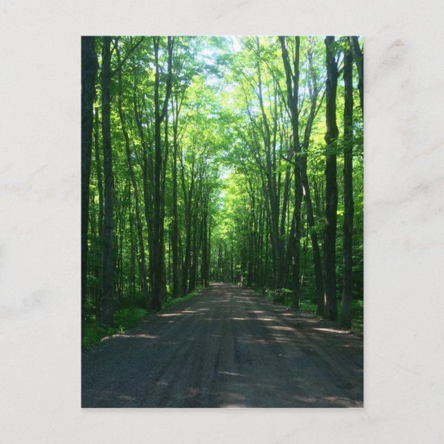 cartão postal da floresta (Frente)