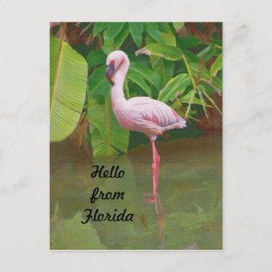 Cartão postal da Flórida com Flamingo Rosa