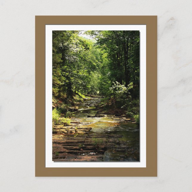 Cartão postal da foto do Parque Estadual de Beaver (Frente)