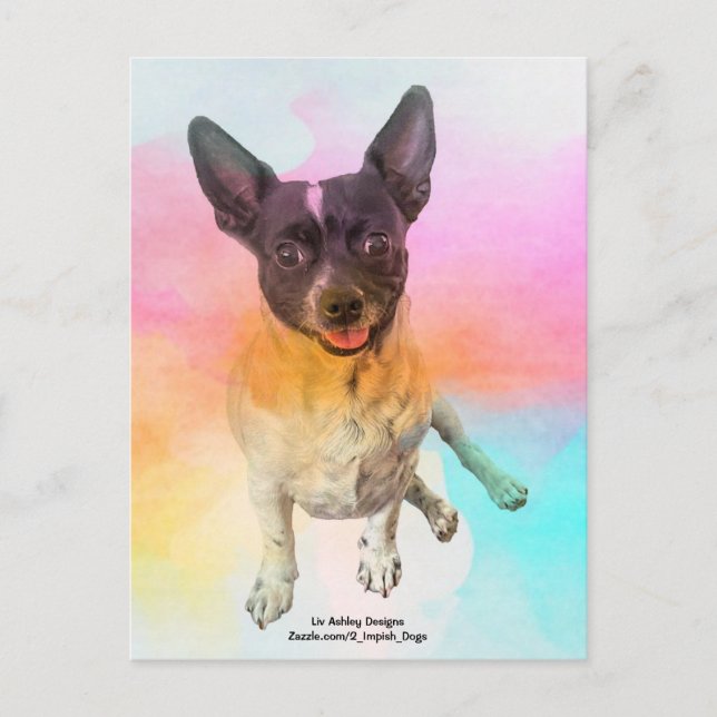 Cartão Postal da Gemma Disco (Frente)