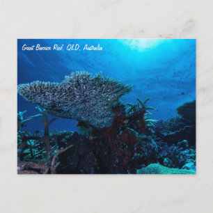 Cartão Postal da Grande Barreira de Coral