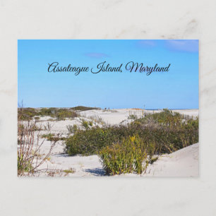 Cartão Postal da Ilha Assateague