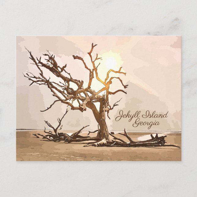 Cartão Postal da Ilha Jekyll Geórgia (Frente)