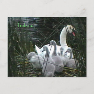 Cartão postal da Irlanda