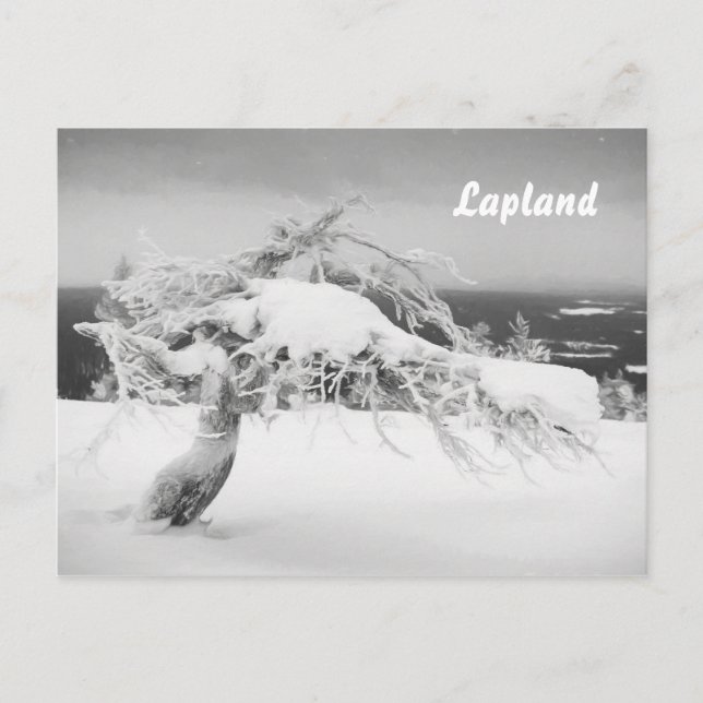 Cartão postal da Lapland — Paisagem do souvenir (Frente)