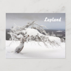 Cartão postal da Lapland Souvenir