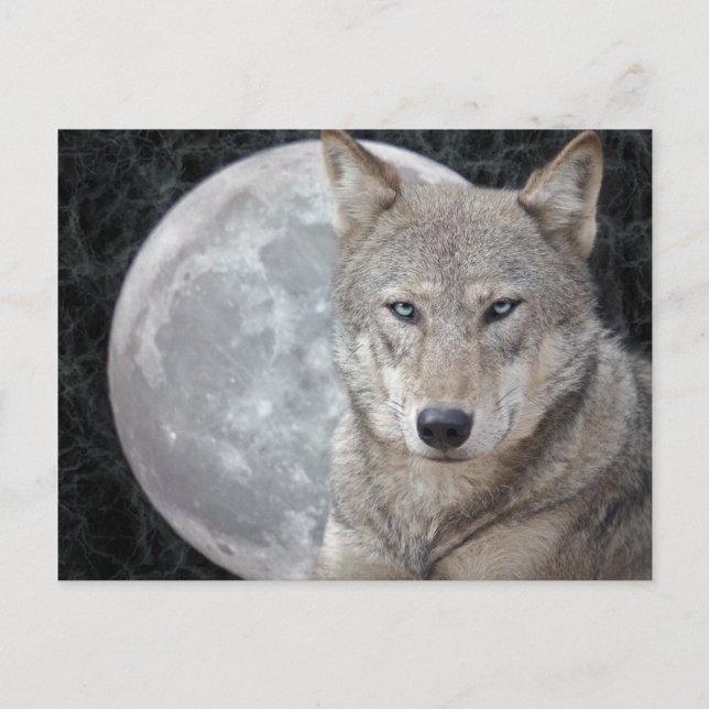 Cartão postal da Lua do Lobo (Frente)