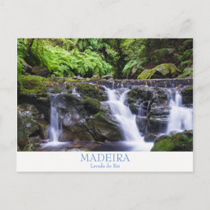 Cartão postal da Madeira - Levada do Rei com texto
