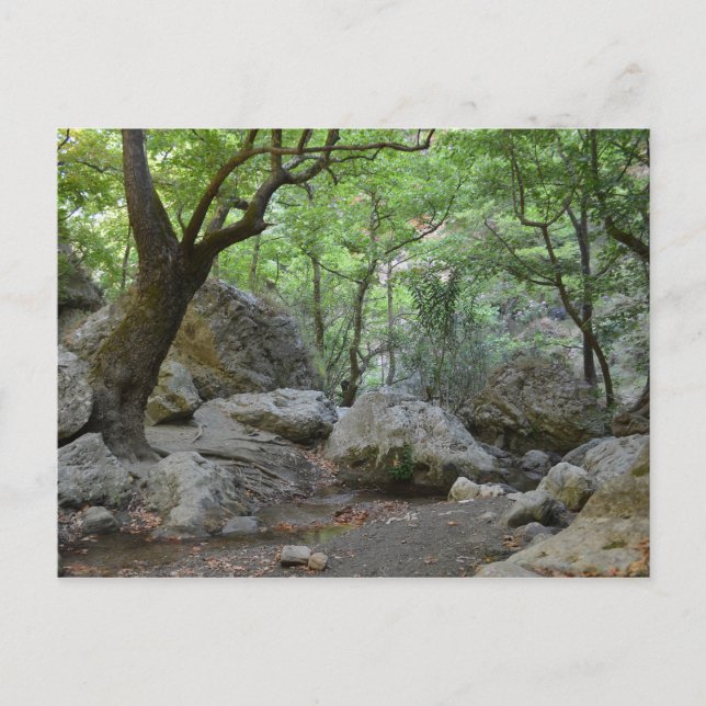 Cartão postal da Nature Walk (Frente)