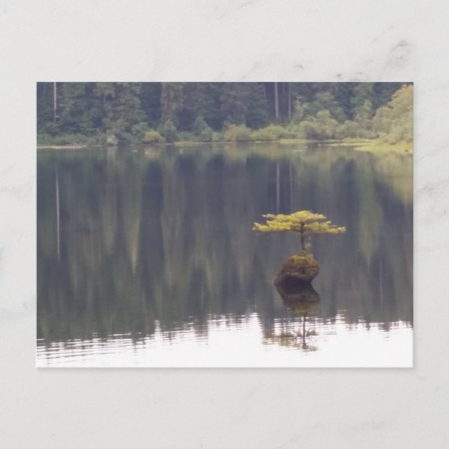 Cartão postal da natureza (Frente)