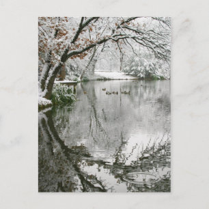 Cartão postal da paisagem de inverno