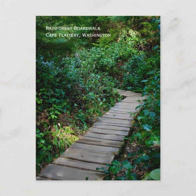 Cartão postal da Passarela da Floresta Tropical (Frente)