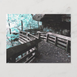 cartão postal da passeio de brandina