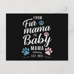 Cartão Postal Da Pele Mamãe à Bebê Mamãe no Est 2025 Gato Mãe