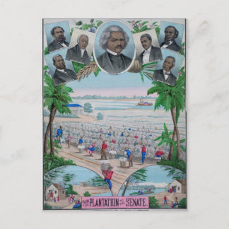 Cartão Postal Da Plantação Ao Senado