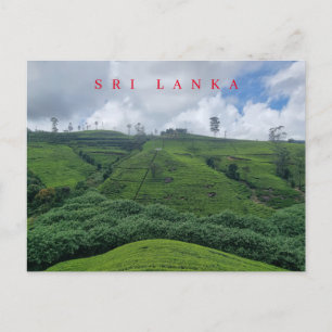 Cartão postal da plantação de chá do Sri Lanka