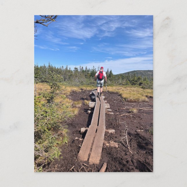 Cartão postal da ponte de Bog Bridge entre Mt. Jac (Frente)