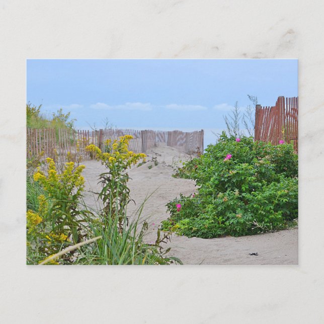 Cartão Postal da Praia de Hammonasset (Frente)