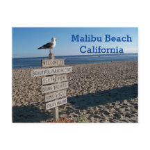 Cartão postal da praia de Malibu - Placa da gaivot