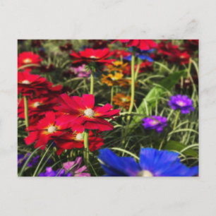 Cartão postal da Primavera Iridescente