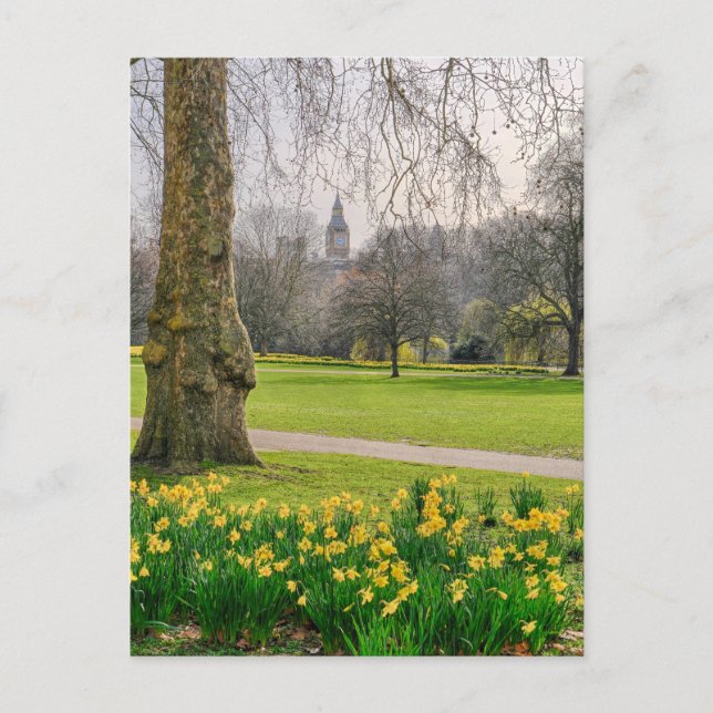 Cartão postal da Rua James's Park London UK (Frente)