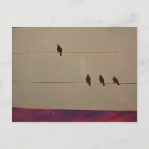 Cartão postal da série Serenity