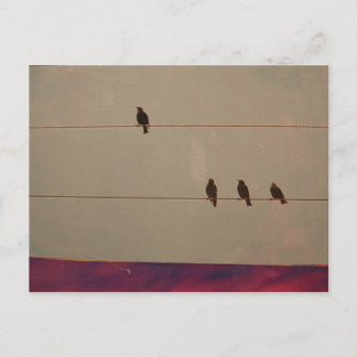 Cartão postal da série Serenity